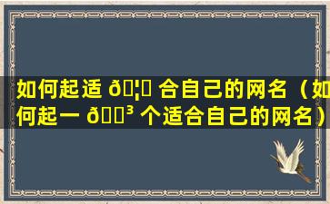 如何起适 🦈 合自己的网名（如何起一 🌳 个适合自己的网名）